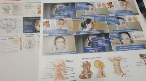 Как Укрепить Сосуды Мозга И Шеи?