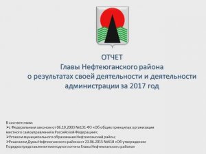 Отчет главы Нефтеюганского района за 2017 год