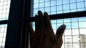 Решетка Антикошка на балконе, фасадное остекление