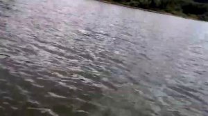 Лодка Касатка 335. Мотор Yamaha 15