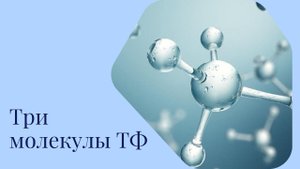 Три молекулы трансфер факторов