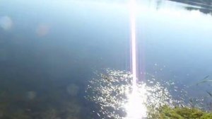 Как расчистить озеро от водорослей "кошкой"