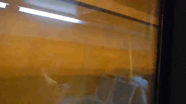 Поездка на автобусе ЛиАЗ-4292.60 (1-2-0) С 600 КН 799 (5008075) Маршрут № 456к Москва смотреть онлайн