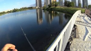 Рыбалка в СПБ. Карьеры возле дома. Как поймать щуку в черте города?  street fishing spb.