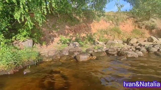 Отдых в России. Река Волга. Красивые места. Летний отдых. Где отдохнуть в России. Природа России.