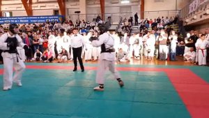 Кобудо, Ниппон Кэмпо, Артём Кожокин, бой за 3е место в МС