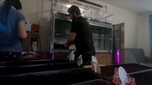 Фитолампы для рассады или подоконник? Часть.1