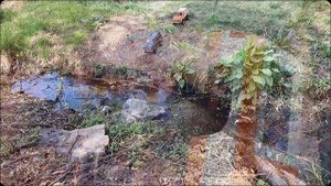 24 масштабик в реальном мире тоже тащит.