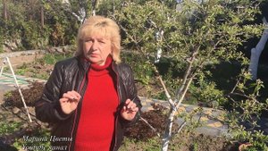 Время Ч !!! Тля наступает!!! Запомните это навсегда!!! Часть 1. Борьба с тлей, когда обрабатывать