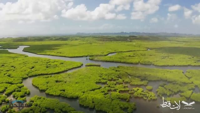 اوصاف بهشت در قرآن _ قسمت دوم Хаëт дар бихишт кисми 2 смотреть онлайн