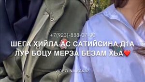 Малика Кавраева «Тийши со безамах»