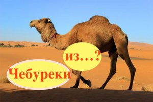 Чебуреки из Верблюжатины
На кухне с Маратом Башаровым