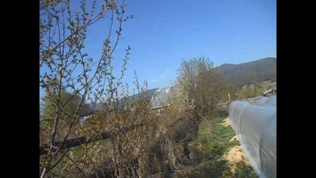 Вишня маленькая да удаленькая. смотреть онлайн