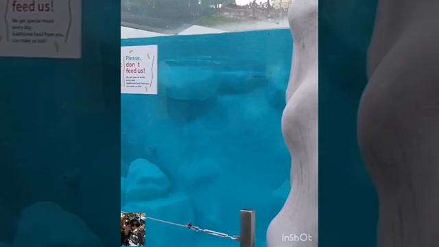 Зоопарк в Белграде часть 3.Zoo in Belgrade part 3.Зоолошки врт у Београду 3. део.