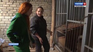 Питомнику для собак необходимо помещение
