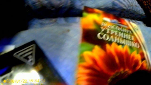 СЕМЕНА ДЕКОРАТИВНЫХ ПОДСОЛНЕЧНИКОВ. смотреть онлайн