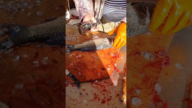 Как почистить сазана за минуту смотреть онлайн