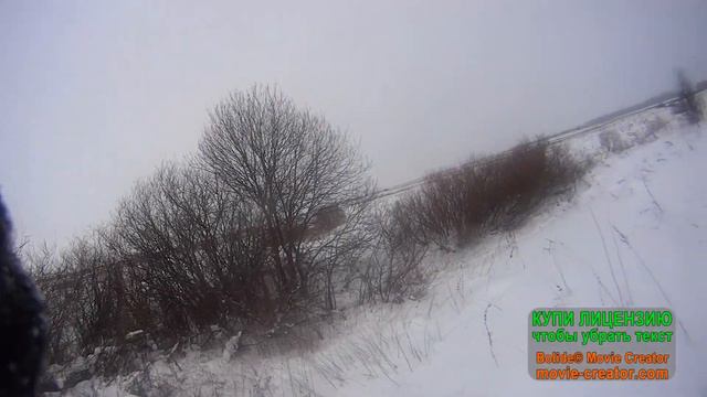 Охота на зайца и куропаток 2019. смотреть онлайн