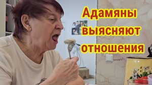 Адамяны выясняют отношения. Обзор
