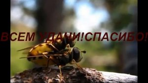 КЛЮЧИ ДЛЯ DRIVER BOOSTER 4.4.0.512