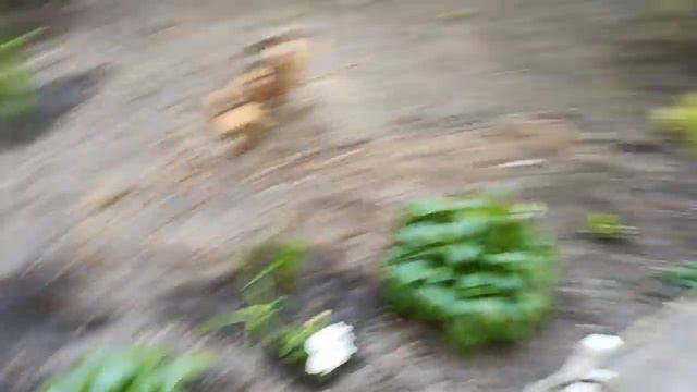 Результаты нашей работы😁💪😍 смотреть онлайн