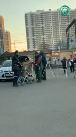 В Купчино разграбили тележки с просрочкой. ФАН-ТВ