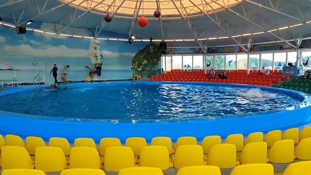 Минск дельфинарий Немо 08.06.2020 смотреть онлайн