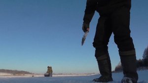 РЫБАЛКА В НАЧАЛЕ ДЕКАБРЯ.ГЛУШНЯК ПО ЩУКЕ.