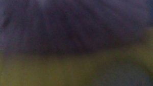 ЧЕРЕПУХУС ЛЕТАЕТ 2!! КУАЛЫЧ УЛЕТЕЛ В ЛЕС??