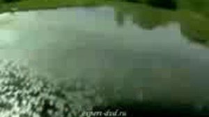 ДДТ Потолок