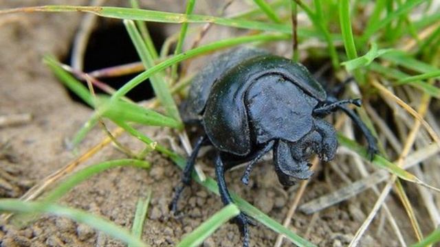 Алексей Крылов - Неприятный случай.Стихи для детей. смотреть онлайн