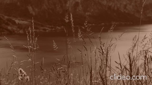 Киническое