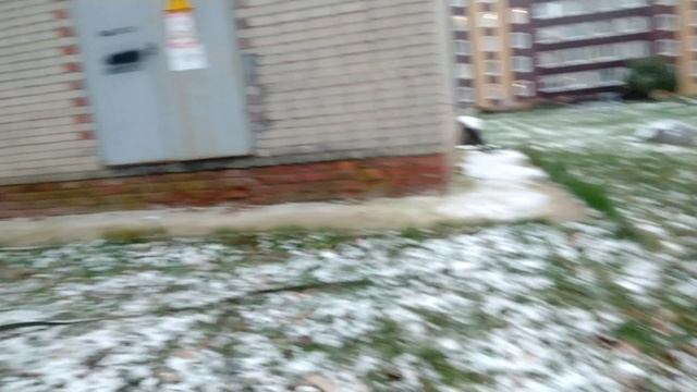 полнолуние,снег