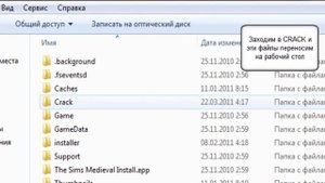 УСТАНОВКА THe SIMS MEDIEVAL