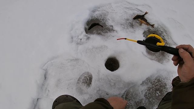 Апрельская рыбалка с Григоричем \ Часть 8 \ Необычные окуни РАСКАЛЁННОГО ОЗЕРА