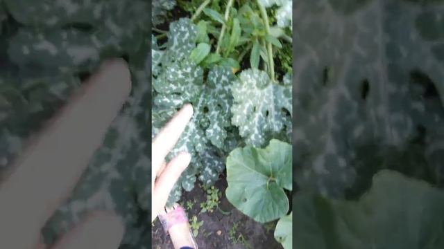 Наша дача. Часть 1 смотреть онлайн