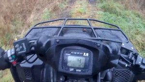 kawasaki brute force 750