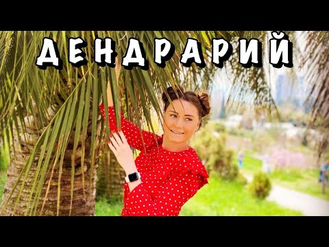 #8 ДЕНДРАРИЙ-ДЕНЬГИ НА ВЕТЕР || ПЕРЕЕЗД В ДРУГОЙ ОТЕЛЬ