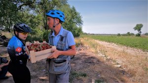 Клубничные поля 2023 (полная версия)