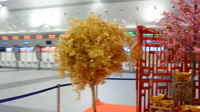 Китайское денежное дерево в Макао смотреть онлайн