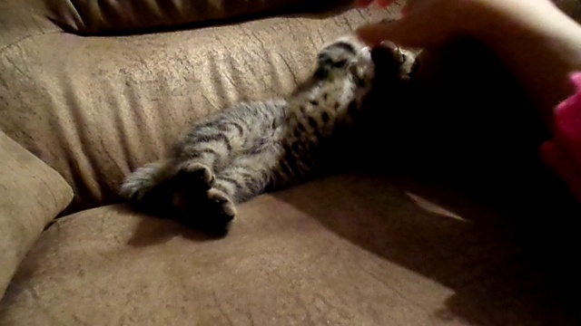 SAM_0044 смотреть онлайн