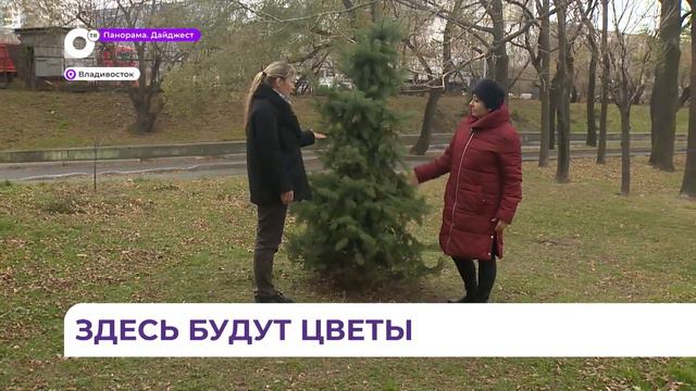 Во Владивостоке специалисты предприятия «Зелёный Владивосток» высадили более 70 тысяч тюльпанов