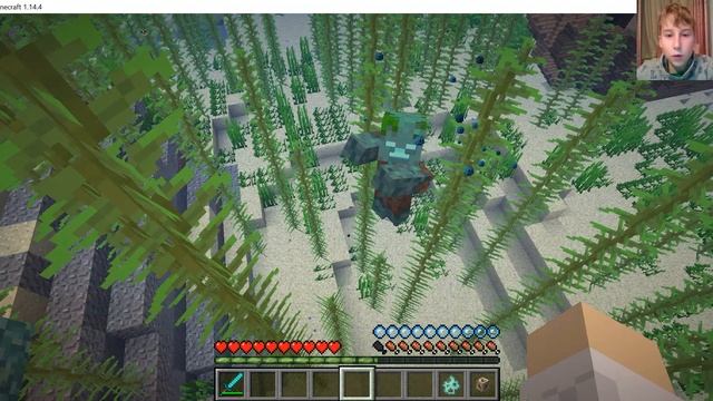 Зачем нужно сэрце моря в майнкрафте? Зачем нужен морской проводник в майнкрафте? смотреть онлайн