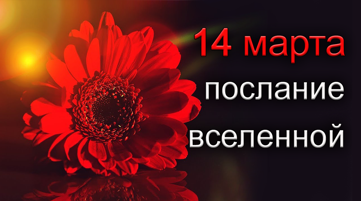 ПОСЛАНИЕ ВСЕЛЕННОЙ на 14 марта.