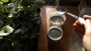 Зола для пеларгонии
