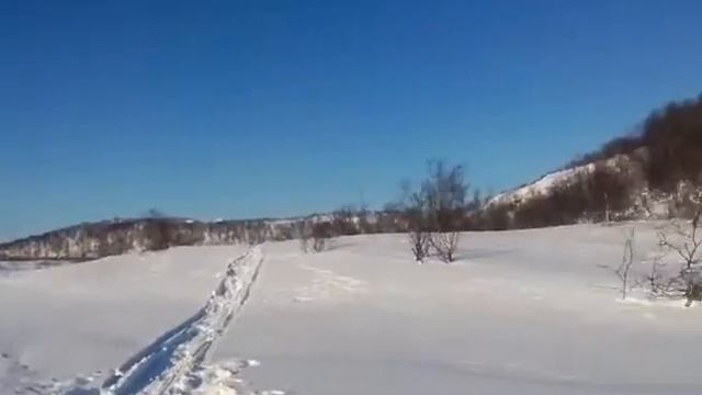 Мотособака Рекс смотреть онлайн