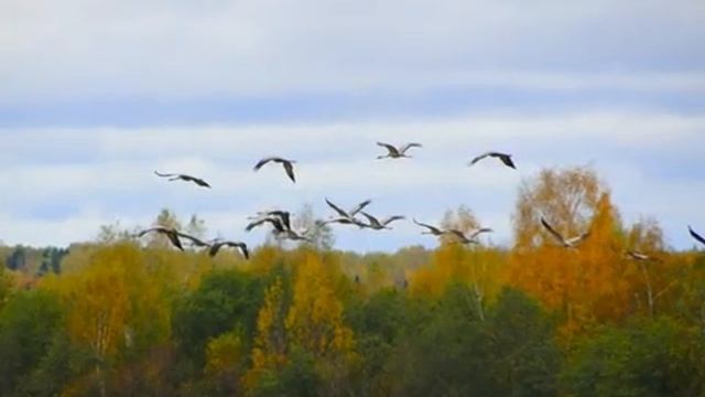 Первый снежок. Село Шушкодом,Костромская область. 22 сентября смотреть онлайн