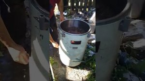 моем морковку в стиральной машинке