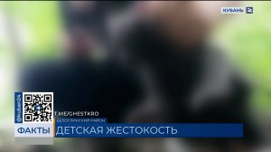 Зарезавшую котенка девочку из Белоглинского района поставят на учет в ПДН