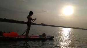 Сапборд и собака. Шарташ. SUP. Накачать доску
